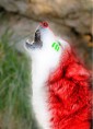 /album/galleria-foto-foto-/swiftkill-maipulation-by-azro-jpg/